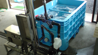 水産加工場