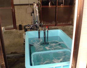 水産加工場