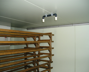 水産物加工場